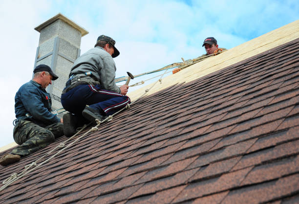 Best Metal Roofing Contractor  in Elkhart, IN